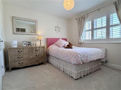 Picture 12